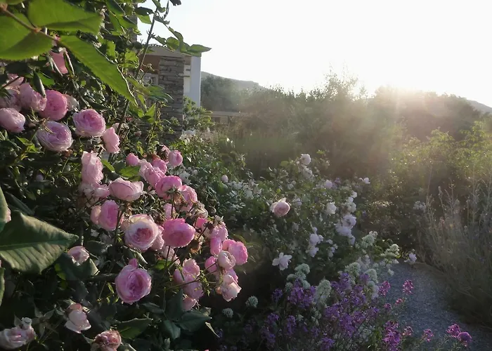 Feriegård Red Tractor Farm Korissia (Kea)