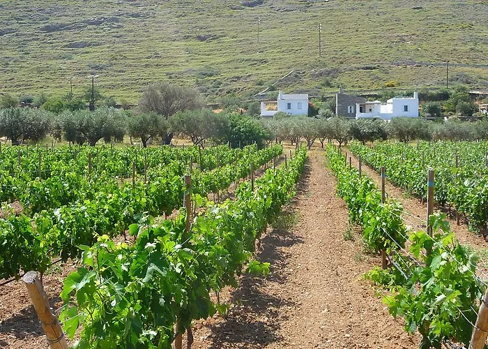 Red Tractor Farm Korissia (Kea)